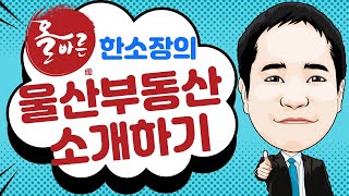 울산주상복합 매매로 알아보고 계신다면? 번영로코아루더클래식 81 추천합니다.