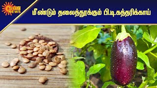 மரபணு மாற்ற விதைகளை சோதிக்க மத்திய அரசு உத்தரவு | test genetically modified seeds | Sun News