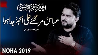 Nohay 2019 - Abbas Mar Gaye Ali Akbar Juda Howa | Syed Raza Abbas Zaidi | Mola Hussain Noha 2019