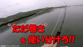 釣れない→釣れるへ★”ただ巻き”テクニック!!