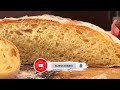 stop buying bread and make the famous altamura bread recipe. altamura bread.