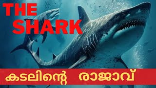 ഇവന്റെ മുന്നിൽ പെട്ടാൽ തീർന്നു 🥵| facts about shark | @Twolinecopy #facts #mystery #shark #sharks