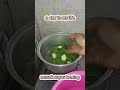 sayur bening gambas dkk #masaksimple#cooking#sayuran #shorts#fypyoutube