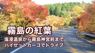 2022年11月26日の霧島の紅葉（塩浸し温泉から霧島神宮までをドライブ）