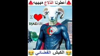 الكبش الفضائي هههه أعطونا الدلاع ههههه