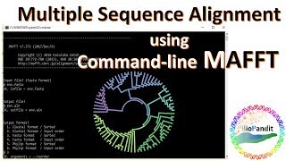 Multiple Sequence Alignment using MAFFT