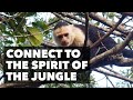 How I Connected To The Jungle Spirit