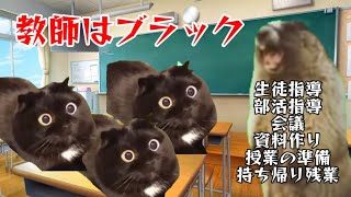 ブラックすぎてやばい教師の一日【猫ミーム】【猫マニ】【猫meme】