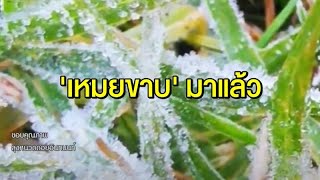 อุตุฯ เตือน 'ไทยตอนบน' อากาศเย็นถึงหนาว อุณหภูมิลดลง 1-2 องศา - 'เหมยขาบ' โผล่เชียงใหม่