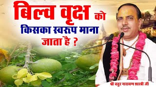 बिल्व वृक्ष को किसका स्वरूप माना जाता है ? श्री चतुर नारायण शास्त्री जी। Sadhna TV