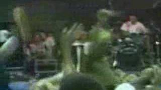 Nofx live Together on the Sand and Green Corn