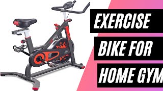 VIGBODY Indoor Stationary Exercise Bike | Best Exercise Bikes For Home Gym |Cardio Workout Equipment