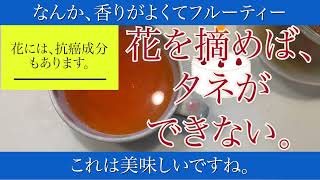 まさかの美味しさ、オオキンケイギクの花で作るお茶。