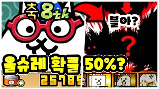 1년만에 나타난 냥코 울트라하이퍼고양이축제 뽑기!! 울슈레 30개 넘게 나옴?? [냥코대전쟁]