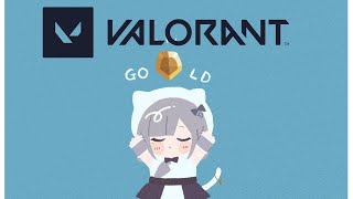 【VALORANT】コンペ幾三！フルパかな？ソロかな？フルパだぁああ【 ぶいすぽ / 花芽すみれ】