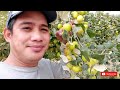 Farm Experience Saudi Arabia | OFW LIFE