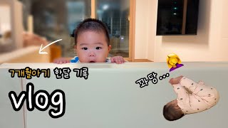 [vlog] 7개월 아기 | 앉기~서기까지 한달 총기록 | 중기 이유식 | 내돈내산 육아템 | 꽈당 일상🤦‍♀️ | 생후210~240일 기록 | 일상 | 육아 브이로그