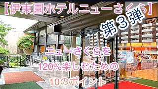 【伊東園ホテルニューさくら完全攻略】ニューさくら🌸を120%楽しむための10のポイント