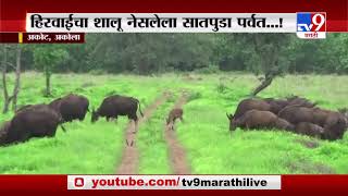 Satpura Mountain Range | हिरवाईचा शालू नेसलेला सातपुडा पर्वत | Exclusive Video -TV9