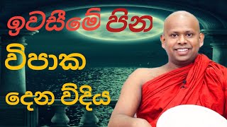 ඉවසීමේ  පින විපාක දෙන විදිය / ven welimada saddhaseela thero/ සද්ධාසීල හීම්