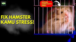 Ciri-Ciri Hamster Stress dan Cara Mengatasinya