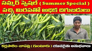 #Chilli #పచ్చి మిరప లో అధిక దిగుబడులు కర్లపాలెం-గుంటూరు యువరైతు అనుభవాలు#Blackthrips#Mirch #organic