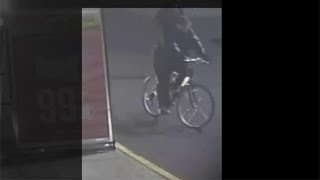 Staten Island Purse Theft Suspect