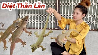 Diệt Thằn Lằn Tận Góc, 100% Bắt Sạch Thằn Lằn Trong Nhà Bằng Cách Đơn Giản