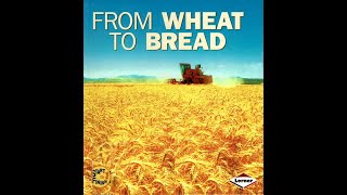 Kids Book Read Aloud: From Wheat to Bread by Stacy Taus-Bolstad