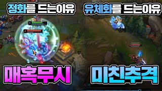 정화 유체화 누누를 하는 이유 [정화유체화 누누로 배치부터 챌까지]