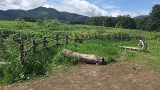 なつぞら しばた牧場牧草地ロケ地 20190826