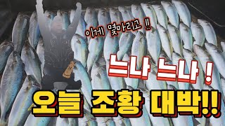 [피싱톡호] 먼바다 촤라라 ~ 손맛 ! 몸맛 ! 입맛까지 !! 대박조황 느나느나 !