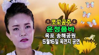 🍩쪼꼬공주🍩윤정품바 우중속에 핀@하얀 민들레  같은 공주님 5월16일 옥포 송해공원