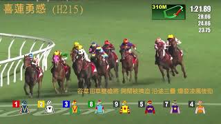 香港賽馬 | 2023-2024 四歲馬特輯 香港經典一哩賽 Part 1