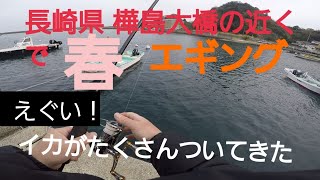 【春エギング】えぐい！ イカがいっぱいついてきた！長崎県 脇岬 樺島大橋の近く