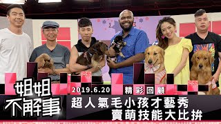 杜力兒子小黑柴超可愛！超人氣毛小孩才藝秀 ｜杜力\u0026黑屁Joe 楊千霈 熊爸 Cherry 拔拔＆烏魚子 Ruby爸\u0026Ruby 凱弟＆嘟嘟｜姐姐不解事