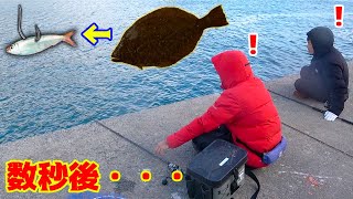 釣れた魚に針をかけて泳がせていると・・・！