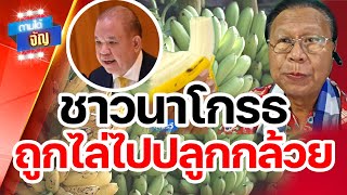 ชาวนาโกรธ!! ถูกไล่ไปปลูกกล้วย? | ถามได้จัญ