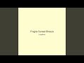 Fragile Sunset Breeze