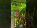 Argy playing Camelphat - Silenced (Argy Remix) at The Wild Jam Festival, Marrakesh #shorts #dj