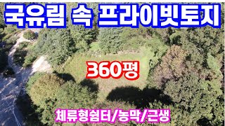 3면 국유림과 접한 프라이빗 위치이면서 2차선과 접해있어 도로접근성 좋은 360평 토지매매입니다. 농막 체류형쉼터 가능! 경영체등록도 가능해요 \u0026 용문숲부동산3824