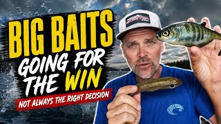 BIG BAITS BIG PATTERNS (Going For The Win)