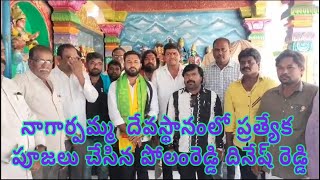 నాగార్పమ్మ  దేవస్థానంలో ప్రత్యేక పూజలు చేసిన పోలంరెడ్డి దినేష్ రెడ్డి | SAKSHITHA NEWS