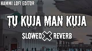 Tu Kuja Man Kuja (Slowed & Reverb) Hammi Lofi Editor