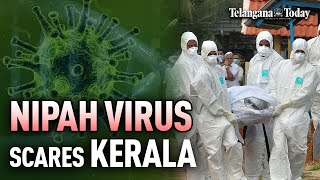 Nipah Virus Takes Two Lives In Kerala | Kozhikode On High Alert | Telangana Today | #KeralaNews