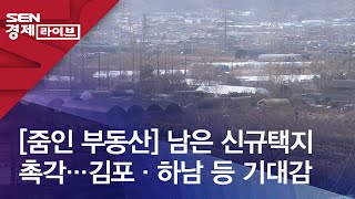 [줌인 부동산] 남은 신규택지 촉각…김포·하남 등 기대감