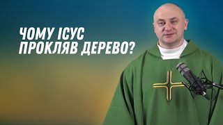 Чому Ісус прокляв дерево?