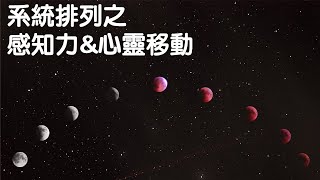 系統排列 之 —— 感知力\u0026心靈移動｜關係花園｜關係聊天室