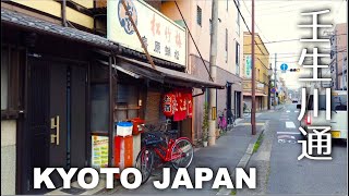 京都 壬生川通 - 北側大宮駅付近から南下して梅小路公園まで [4K] POV