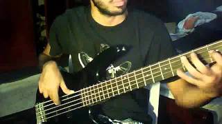 Flaca -  Andres Calamaro Bass Cover